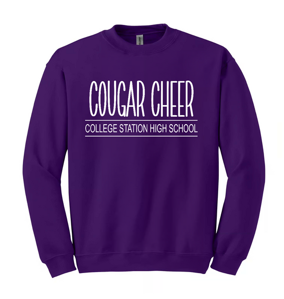 Cougar Cheer CS High School